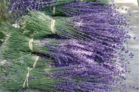 lavender bundles